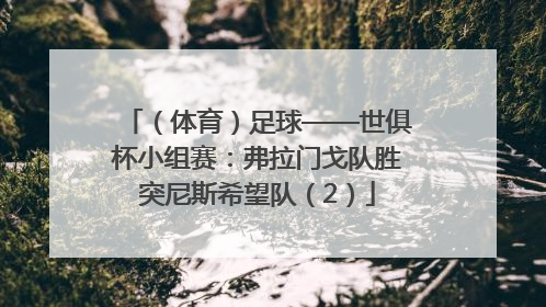 （体育）足球——世俱杯小组赛：弗拉门戈队胜突尼斯希望队（2）