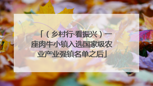 （乡村行·看振兴）一座肉牛小镇入选国家级农业产业强镇名单之后
