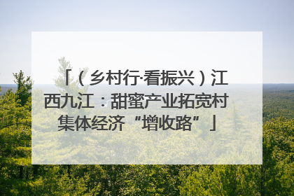 （乡村行·看振兴）江西九江：甜蜜产业拓宽村集体经济“增收路”