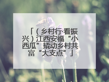 （乡村行·看振兴）江西安福“小西瓜”撬动乡村共富“大支点”