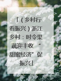（乡村行·看振兴）浙江乡村：时令果蔬迎丰收 “甜蜜经济”促振兴