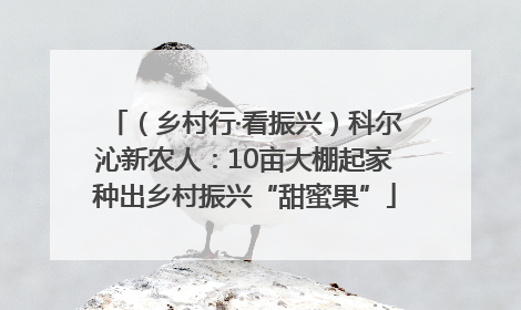 （乡村行·看振兴）科尔沁新农人：10亩大棚起家种出乡村振兴“甜蜜果”
