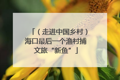 （走进中国乡村）海口最后一个渔村捕文旅“新鱼”
