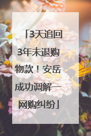 3天追回3年未退购物款！安岳成功调解一网购纠纷