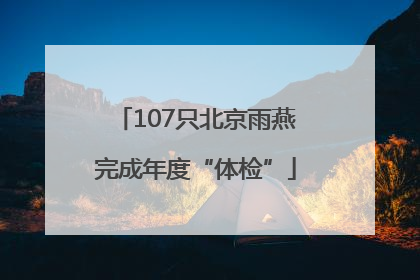 107只北京雨燕完成年度“体检”