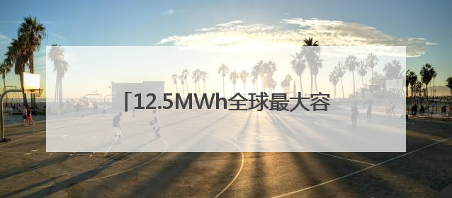 12.5MWh全球最大容量储能系统发布 合肥一季度储能系统同比增长425%