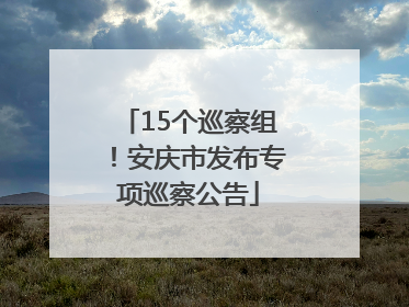 15个巡察组！安庆市发布专项巡察公告
