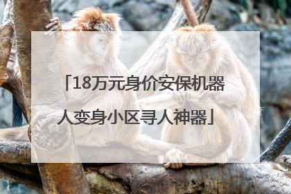 18万元身价安保机器人变身小区寻人神器