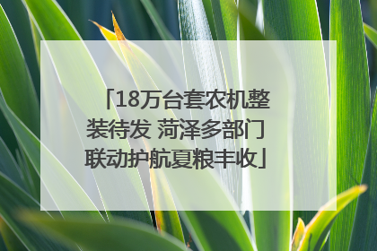 18万台套农机整装待发 菏泽多部门联动护航夏粮丰收