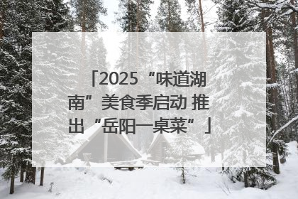 2025“味道湖南”美食季启动 推出“岳阳一桌菜”