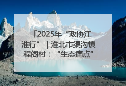 2025年“政协江淮行”｜淮北市渠沟镇程阁村：“生态痛点”变“生态景观”