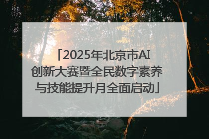 2025年北京市AI创新大赛暨全民数字素养与技能提升月全面启动