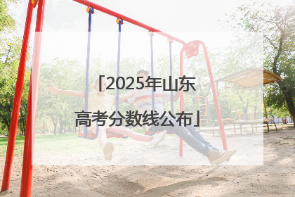 2025年山东高考分数线公布