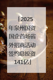 2025年泉州国资国企首场省外招商活动签约总投资141亿