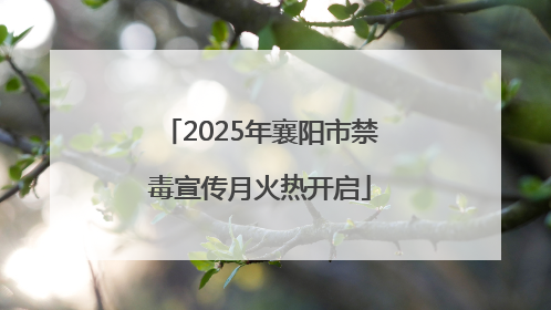 2025年襄阳市禁毒宣传月火热开启