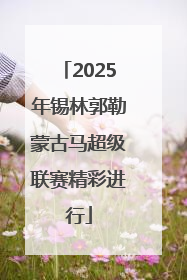 2025年锡林郭勒蒙古马超级联赛精彩进行