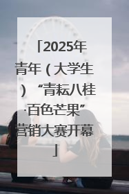 2025年青年（大学生）“青耘八桂·百色芒果”营销大赛开幕