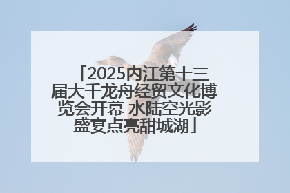 2025内江第十三届大千龙舟经贸文化博览会开幕 水陆空光影盛宴点亮甜城湖