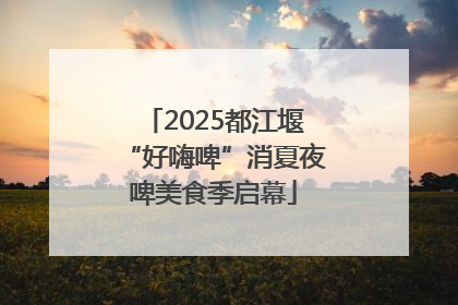 2025都江堰“好嗨啤”消夏夜啤美食季启幕