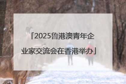 2025鲁港澳青年企业家交流会在香港举办