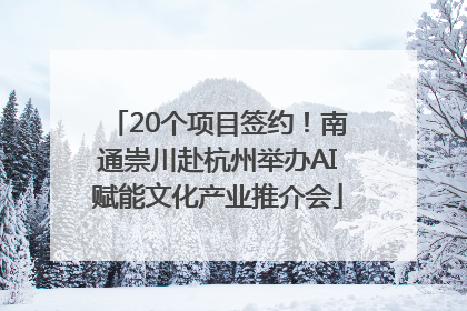 20个项目签约！南通崇川赴杭州举办AI赋能文化产业推介会