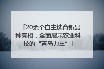 20余个自主选育新品种亮相，全面展示农业科技的“青岛力量”