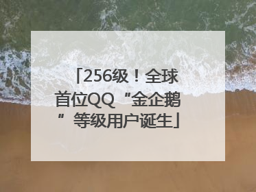 256级！全球首位QQ“金企鹅”等级用户诞生