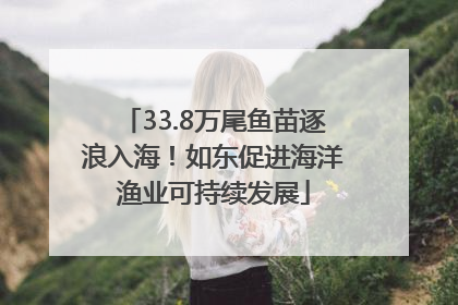 33.8万尾鱼苗逐浪入海！如东促进海洋渔业可持续发展