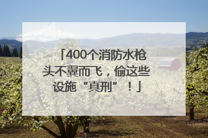 400个消防水枪头不翼而飞，偷这些设施“真刑”！