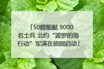 50艘舰艇 9000名士兵 北约“波罗的海行动”军演在德国启动