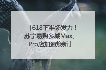 618下半场发力！苏宁易购多城Max、Pro店加速焕新
