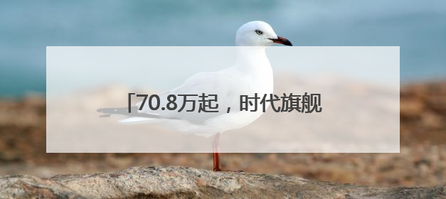 70.8万起，时代旗舰尊界 S800 上市，百万级超豪华市场的破壁者