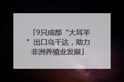 9只成都“大耳羊”出口乌干达，助力非洲养殖业发展