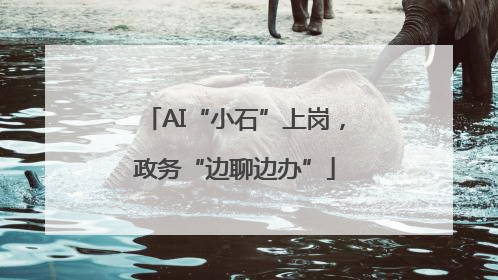 AI“小石”上岗，政务“边聊边办”