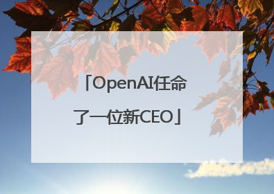 OpenAI任命了一位新CEO