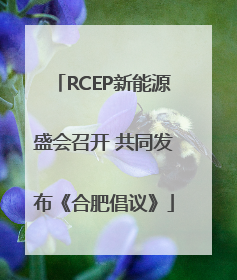 RCEP新能源盛会召开 共同发布《合肥倡议》